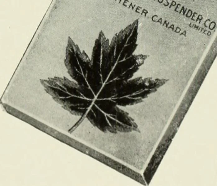 An illustration from Men's wear of Canada (January-December 1922), 1922, leaf 654
