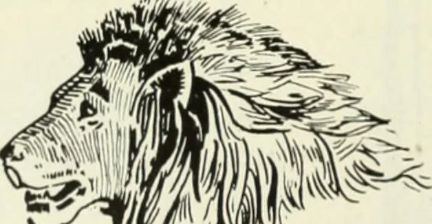 An illustration from Men's wear of Canada (January-December 1922), 1922, leaf 673