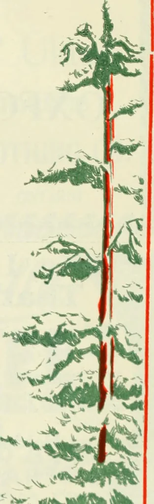 An illustration from Men's wear of Canada (January-December 1922), 1922, leaf 757
