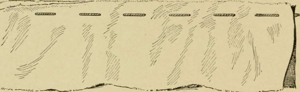 An illustration from Mental development and manual training combined, taking up the one stitch dropped in sewing by drills to sound-singing, 1899, leaf 29