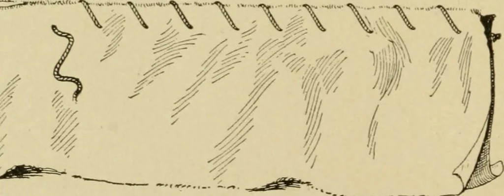 An illustration from Mental development and manual training combined, taking up the one stitch dropped in sewing by drills to sound-singing, 1899, leaf 29