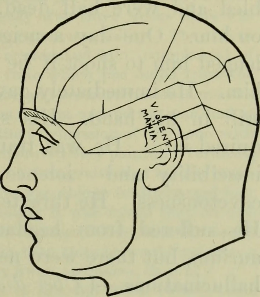 An illustration from The mental functions of the brain : an investigation into their localisation and their manifestation in health and disease, 1901, leaf 152