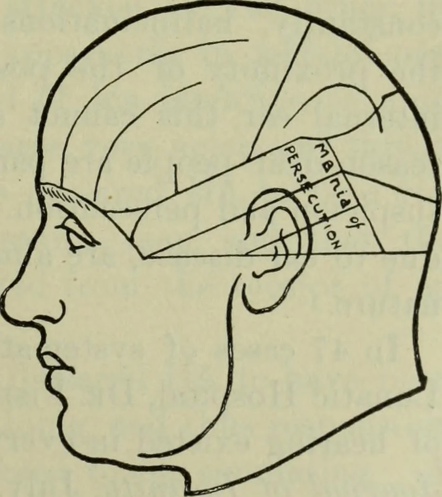 An illustration from The mental functions of the brain : an investigation into their localisation and their manifestation in health and disease, 1901, leaf 216