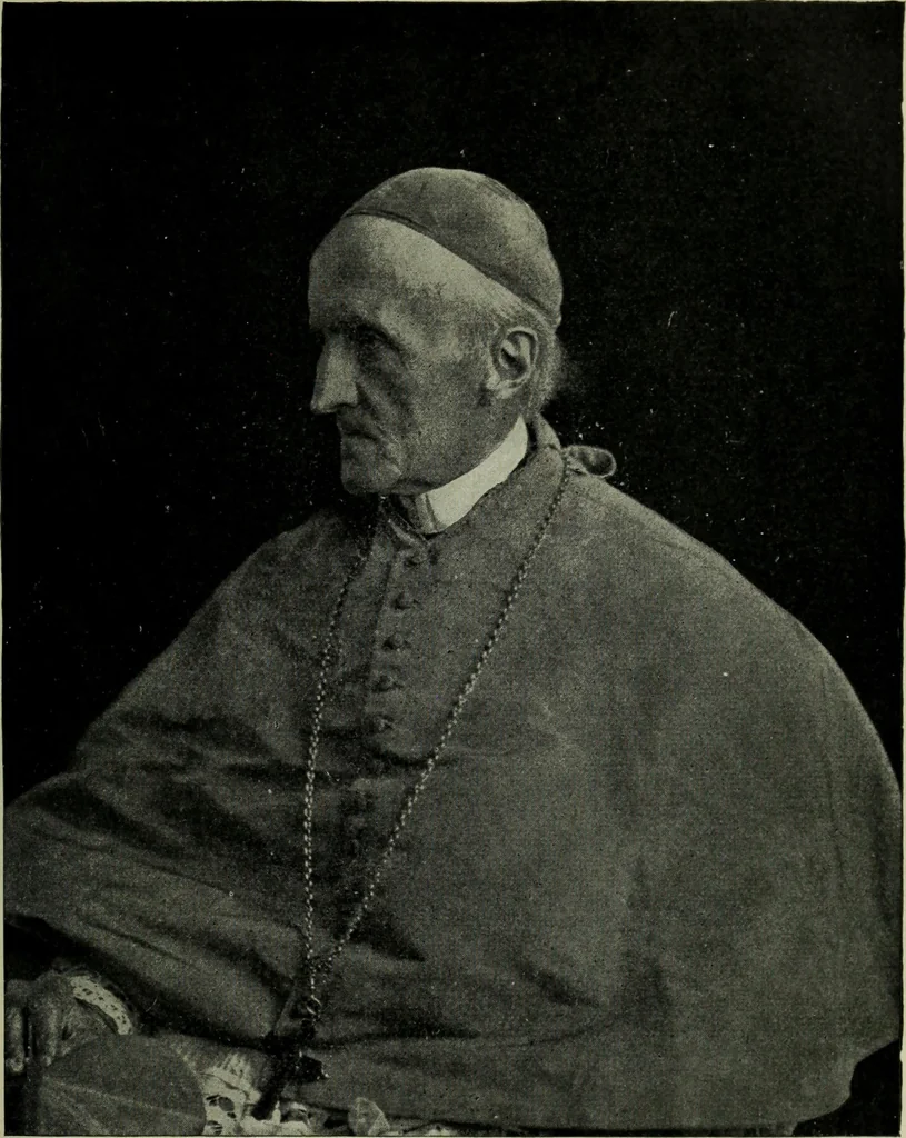 An illustration from The mental functions of the brain : an investigation into their localisation and their manifestation in health and disease, 1901, leaf 384