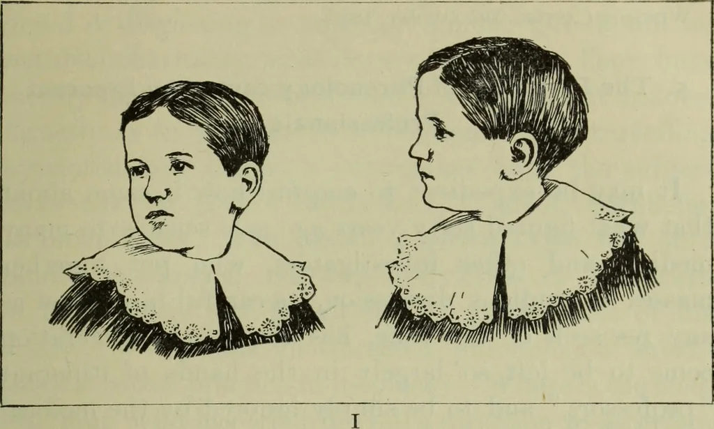 An illustration from The mental functions of the brain : an investigation into their localisation and their manifestation in health and disease, 1901, leaf 458