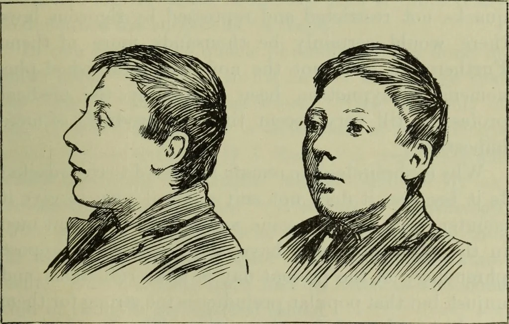 An illustration from The mental functions of the brain : an investigation into their localisation and their manifestation in health and disease, 1901, leaf 458