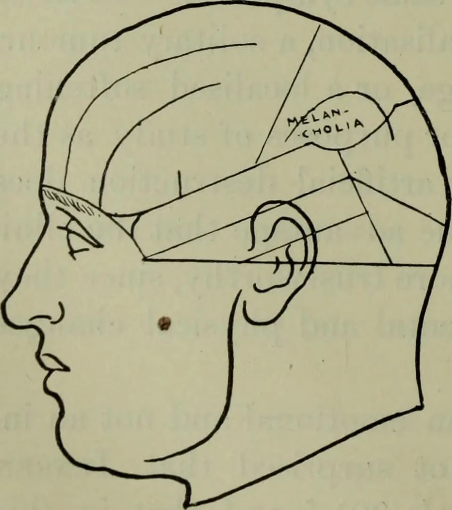 An illustration from The mental functions of the brain : an investigation into their localisation and their manifestation in health and disease, 1901, leaf 93