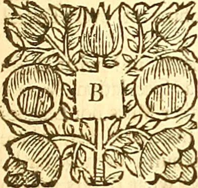 An illustration from The merchants map of commerce : wherein the universal manner and matter of trade is compendiously handled. The standard and current coins of sundry princes observed. The real and imaginary coins of accounts and exchanges expressed. The natural and artificial commodities of all countreys for transportation declared. The weights and measures of all eminent cities and towns of traffick, collected and reduced one into another, and all to the meridian of commerce practised in the famous city of London, 1677, leaf 24