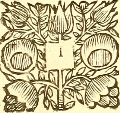 An illustration from The merchants map of commerce : wherein the universal manner and matter of trade is compendiously handled. The standard and current coins of sundry princes observed. The real and imaginary coins of accounts and exchanges expressed. The natural and artificial commodities of all countreys for transportation declared. The weights and measures of all eminent cities and towns of traffick, collected and reduced one into another, and all to the meridian of commerce practised in the famous city of London, 1677, leaf 350