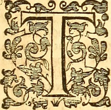 An illustration from The merchants map of commerce : wherein the universal manner and matter of trade is compendiously handled. The standard and current coins of sundry princes observed. The real and imaginary coins of accounts and exchanges expressed. The natural and artificial commodities of all countreys for transportation declared. The weights and measures of all eminent cities and towns of traffick, collected and reduced one into another, and all to the meridian of commerce practised in the famous city of London, 1677, leaf 76