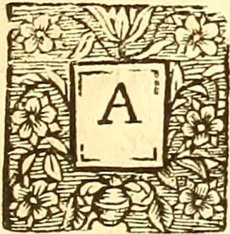 An illustration from The merchants map of commerce : wherein the universal manner and matter of trade is compendiously handled. The standard and current coins of sundry princes observed. The real and imaginary coins of accounts and exchanges expressed. The natural and artificial commodities of all countreys for transportation declared. The weights and measures of all eminent cities and towns of traffick, collected and reduced one into another, and all to the meridian of commerce practised in the famous city of London, 1677, leaf 98