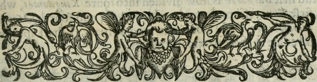 An illustration from The merchants mappe of commerce : wherein, the universall manner and matter of trade, is compendiously handled ..., 1638, leaf 106