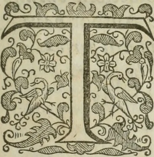 An illustration from The merchants mappe of commerce : wherein, the universall manner and matter of trade, is compendiously handled ..., 1638, leaf 16
