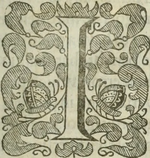 An illustration from The merchants mappe of commerce : wherein, the universall manner and matter of trade, is compendiously handled ..., 1638, leaf 18