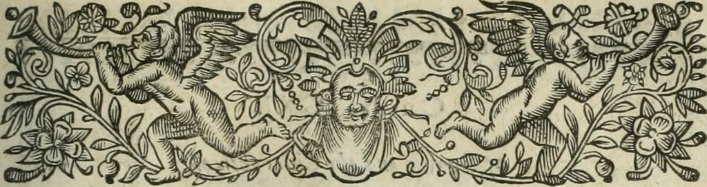 An illustration from The merchants mappe of commerce : wherein, the universall manner and matter of trade, is compendiously handled ..., 1638, leaf 266