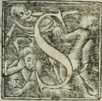 An illustration from The merchants mappe of commerce : wherein, the universall manner and matter of trade, is compendiously handled ..., 1638, leaf 268