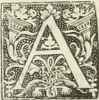 An illustration from The merchants mappe of commerce : wherein, the universall manner and matter of trade, is compendiously handled ..., 1638, leaf 273