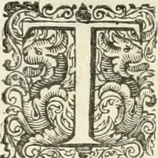 An illustration from The merchants mappe of commerce : wherein, the universall manner and matter of trade, is compendiously handled ..., 1638, leaf 285