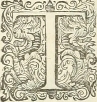 An illustration from The merchants mappe of commerce : wherein, the universall manner and matter of trade, is compendiously handled ..., 1638, leaf 305