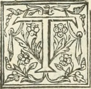An illustration from The merchants mappe of commerce : wherein, the universall manner and matter of trade, is compendiously handled ..., 1638, leaf 307