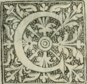 An illustration from The merchants mappe of commerce : wherein, the universall manner and matter of trade, is compendiously handled ..., 1638, leaf 310