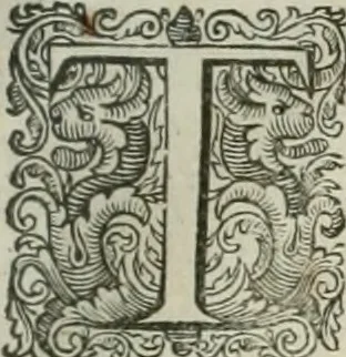 An illustration from The merchants mappe of commerce : wherein, the universall manner and matter of trade, is compendiously handled ..., 1638, leaf 312