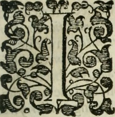 An illustration from The merchants mappe of commerce : wherein, the universall manner and matter of trade, is compendiously handled ..., 1638, leaf 316