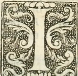 An illustration from The merchants mappe of commerce : wherein, the universall manner and matter of trade, is compendiously handled ..., 1638, leaf 319