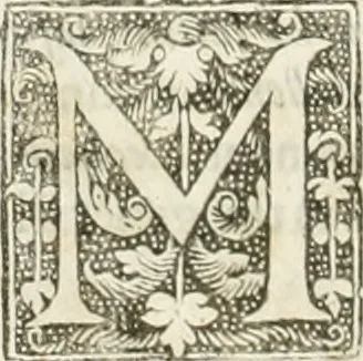 An illustration from The merchants mappe of commerce : wherein, the universall manner and matter of trade, is compendiously handled ..., 1638, leaf 323