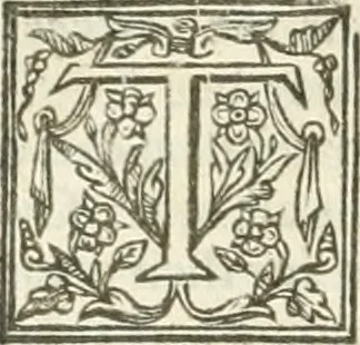 An illustration from The merchants mappe of commerce : wherein, the universall manner and matter of trade, is compendiously handled ..., 1638, leaf 341