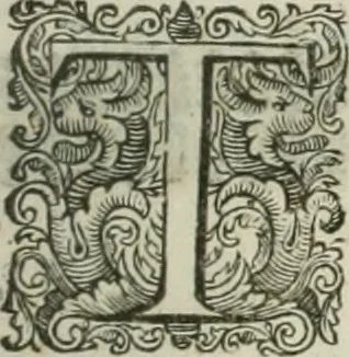 An illustration from The merchants mappe of commerce : wherein, the universall manner and matter of trade, is compendiously handled ..., 1638, leaf 348