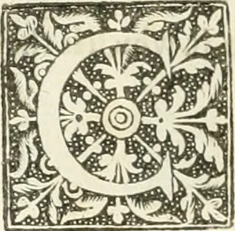 An illustration from The merchants mappe of commerce : wherein, the universall manner and matter of trade, is compendiously handled ..., 1638, leaf 351