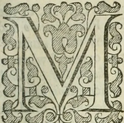 An illustration from The merchants mappe of commerce : wherein, the universall manner and matter of trade, is compendiously handled ..., 1638, leaf 352