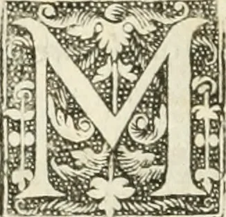 An illustration from The merchants mappe of commerce : wherein, the universall manner and matter of trade, is compendiously handled ..., 1638, leaf 355