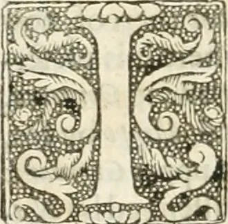 An illustration from The merchants mappe of commerce : wherein, the universall manner and matter of trade, is compendiously handled ..., 1638, leaf 367