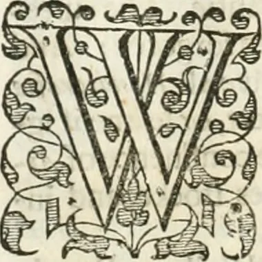 An illustration from The merchants mappe of commerce : wherein, the universall manner and matter of trade, is compendiously handled ..., 1638, leaf 391