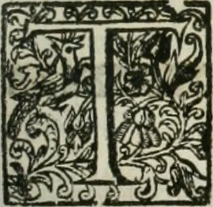 An illustration from The merchants mappe of commerce : wherein, the universall manner and matter of trade, is compendiously handled ..., 1638, leaf 392
