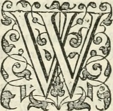 An illustration from The merchants mappe of commerce : wherein, the universall manner and matter of trade, is compendiously handled ..., 1638, leaf 399