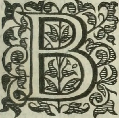 An illustration from The merchants mappe of commerce : wherein, the universall manner and matter of trade, is compendiously handled ..., 1638, leaf 40