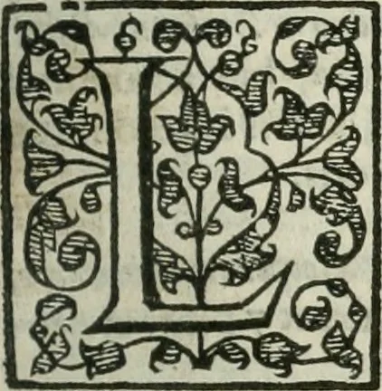 An illustration from The merchants mappe of commerce : wherein, the universall manner and matter of trade, is compendiously handled ..., 1638, leaf 404