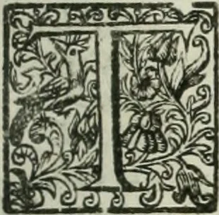 An illustration from The merchants mappe of commerce : wherein, the universall manner and matter of trade, is compendiously handled ..., 1638, leaf 408