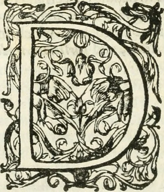 An illustration from The merchants mappe of commerce : wherein, the universall manner and matter of trade, is compendiously handled ..., 1638, leaf 413