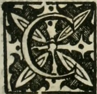 An illustration from The merchants mappe of commerce : wherein, the universall manner and matter of trade, is compendiously handled ..., 1638, leaf 414