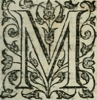 An illustration from The merchants mappe of commerce : wherein, the universall manner and matter of trade, is compendiously handled ..., 1638, leaf 422
