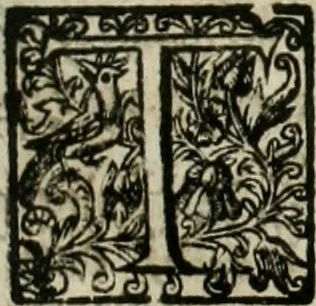 An illustration from The merchants mappe of commerce : wherein, the universall manner and matter of trade, is compendiously handled ..., 1638, leaf 426