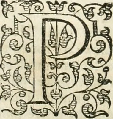 An illustration from The merchants mappe of commerce : wherein, the universall manner and matter of trade, is compendiously handled ..., 1638, leaf 427