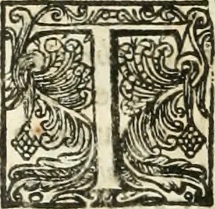 An illustration from The merchants mappe of commerce : wherein, the universall manner and matter of trade, is compendiously handled ..., 1638, leaf 445