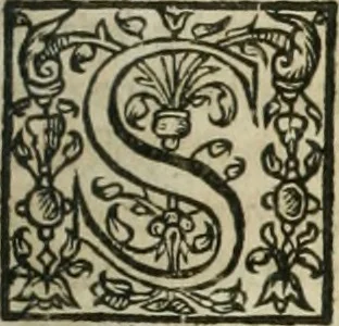 An illustration from The merchants mappe of commerce : wherein, the universall manner and matter of trade, is compendiously handled ..., 1638, leaf 448