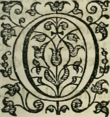 An illustration from The merchants mappe of commerce : wherein, the universall manner and matter of trade, is compendiously handled ..., 1638, leaf 452
