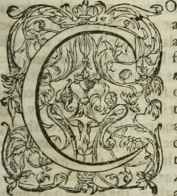 An illustration from The merchants mappe of commerce : wherein, the universall manner and matter of trade, is compendiously handled ..., 1638, leaf 454